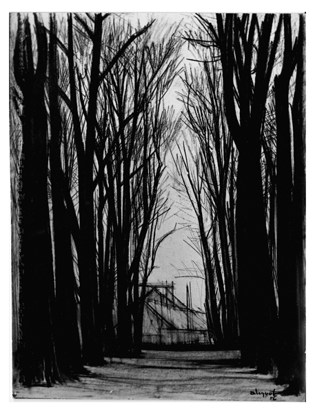 Sous-bois aux Bouviers - Hénin-Liétard - 1954